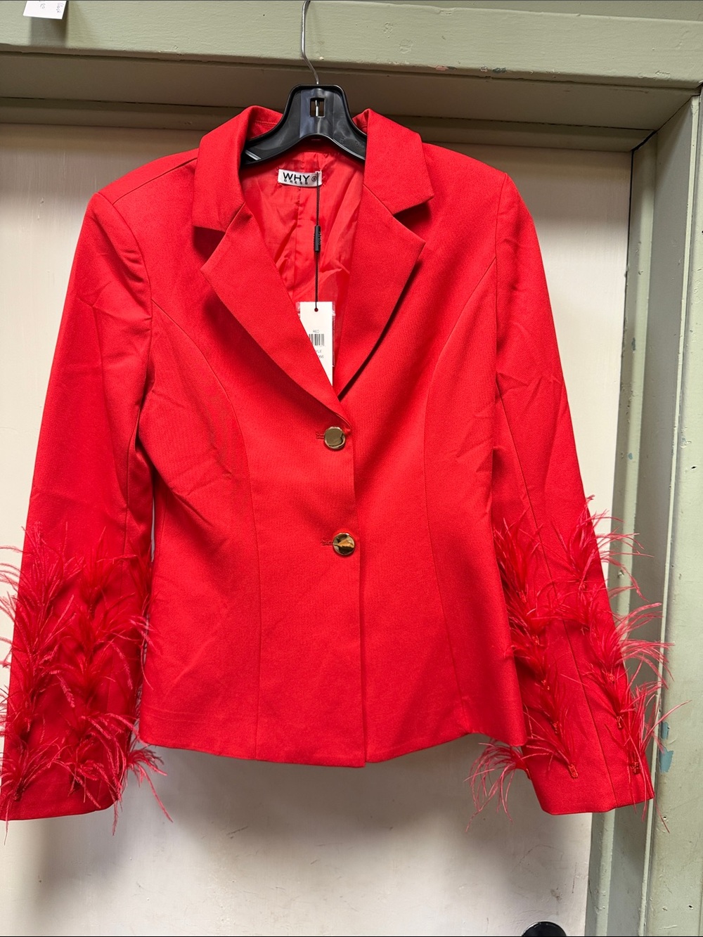 WHY Red Feather-Accent Tailored Blazer